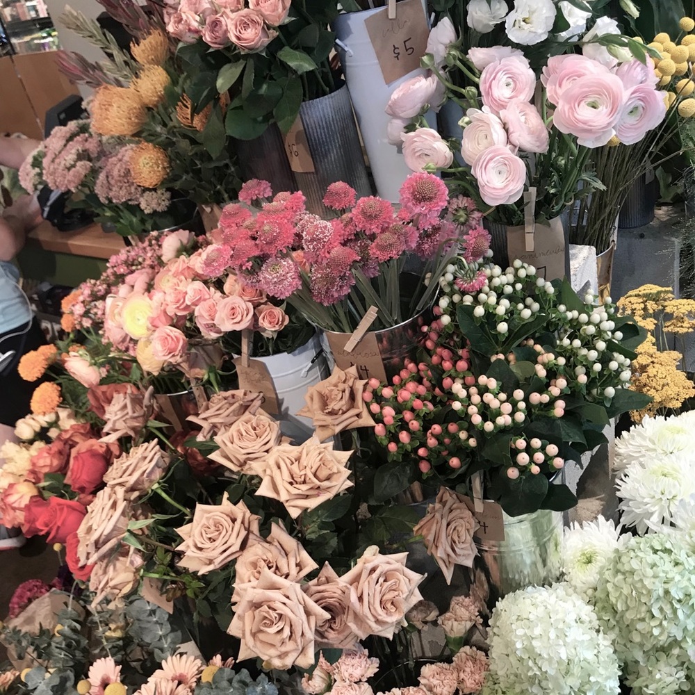 Meet your Posher, Nelya